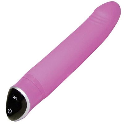 Vibrator Vibe Klitoris Stimulation Vibration Kraftvoll...